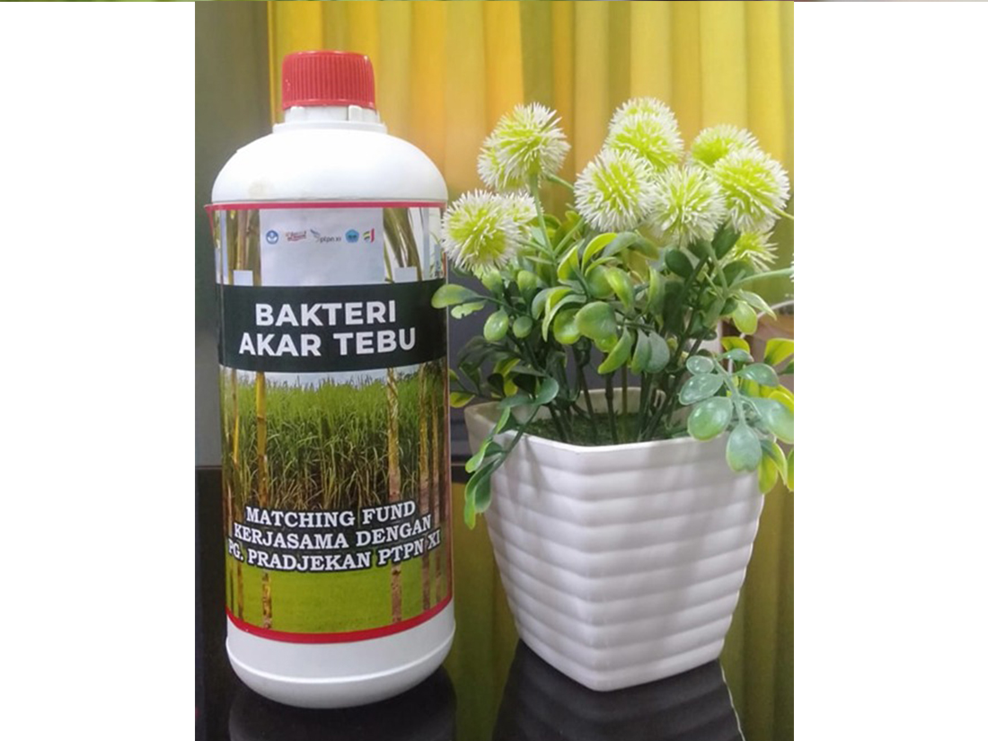 gambar basiscrop